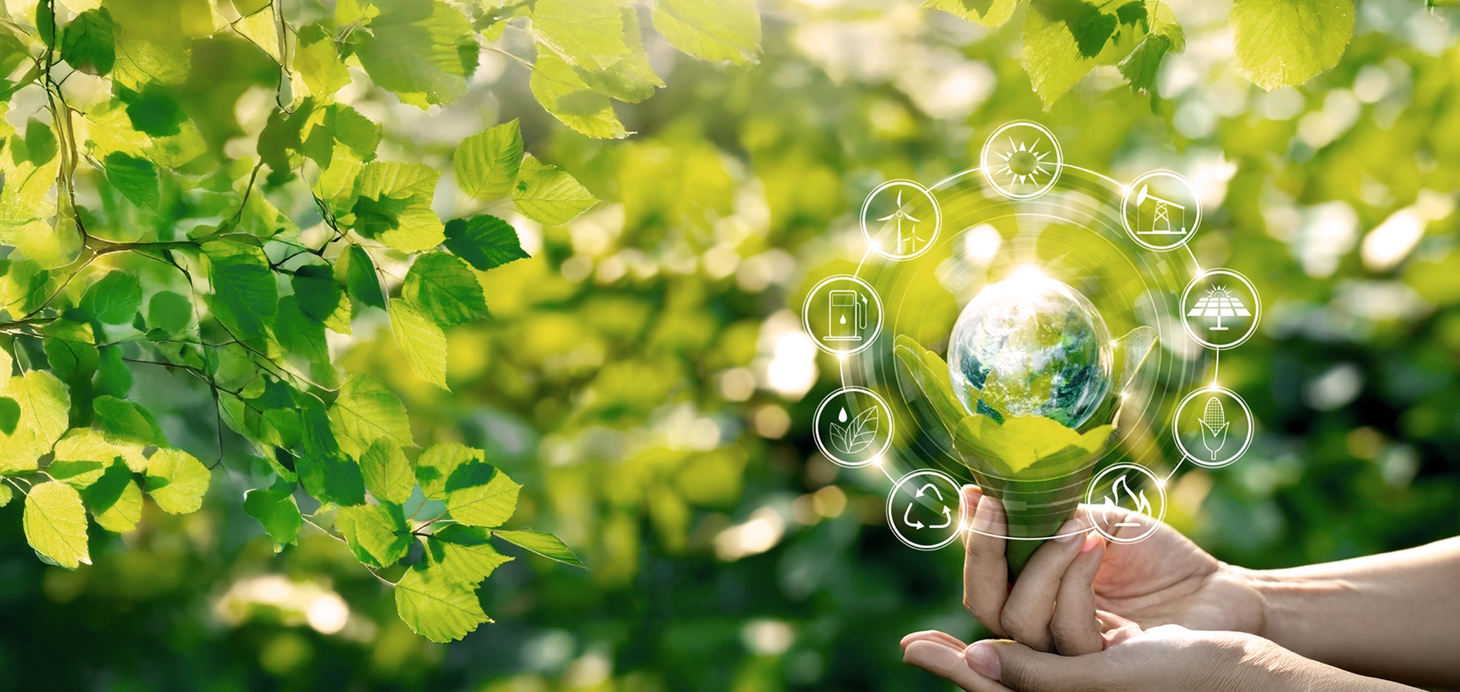 Petrovoll About us Sustainability