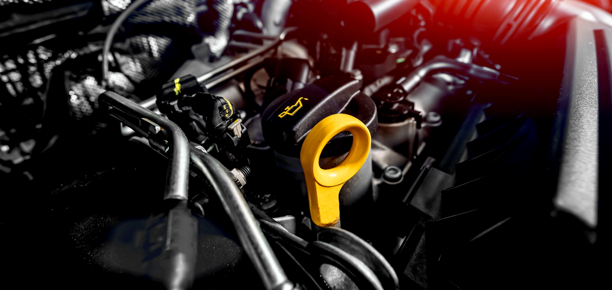 Petrovoll Terms Conditions banner